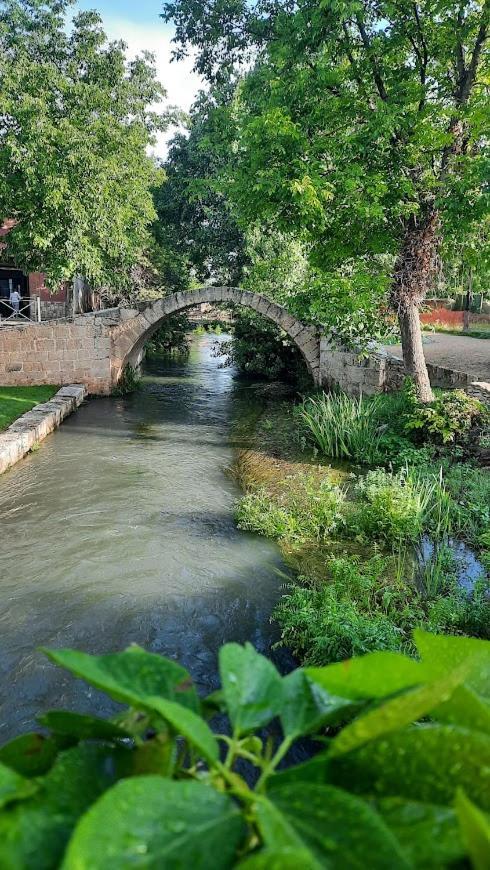 Aromas Del Jiloca, Tierra De Trufas Leilighet Calamocha Eksteriør bilde