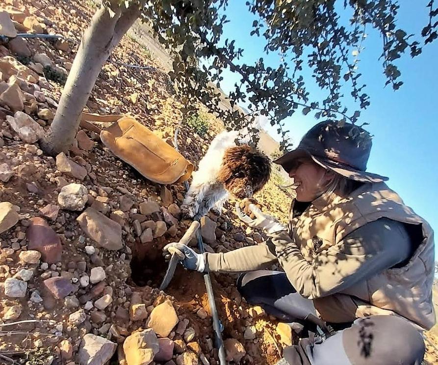 Aromas Del Jiloca, Tierra De Trufas Leilighet Calamocha Eksteriør bilde
