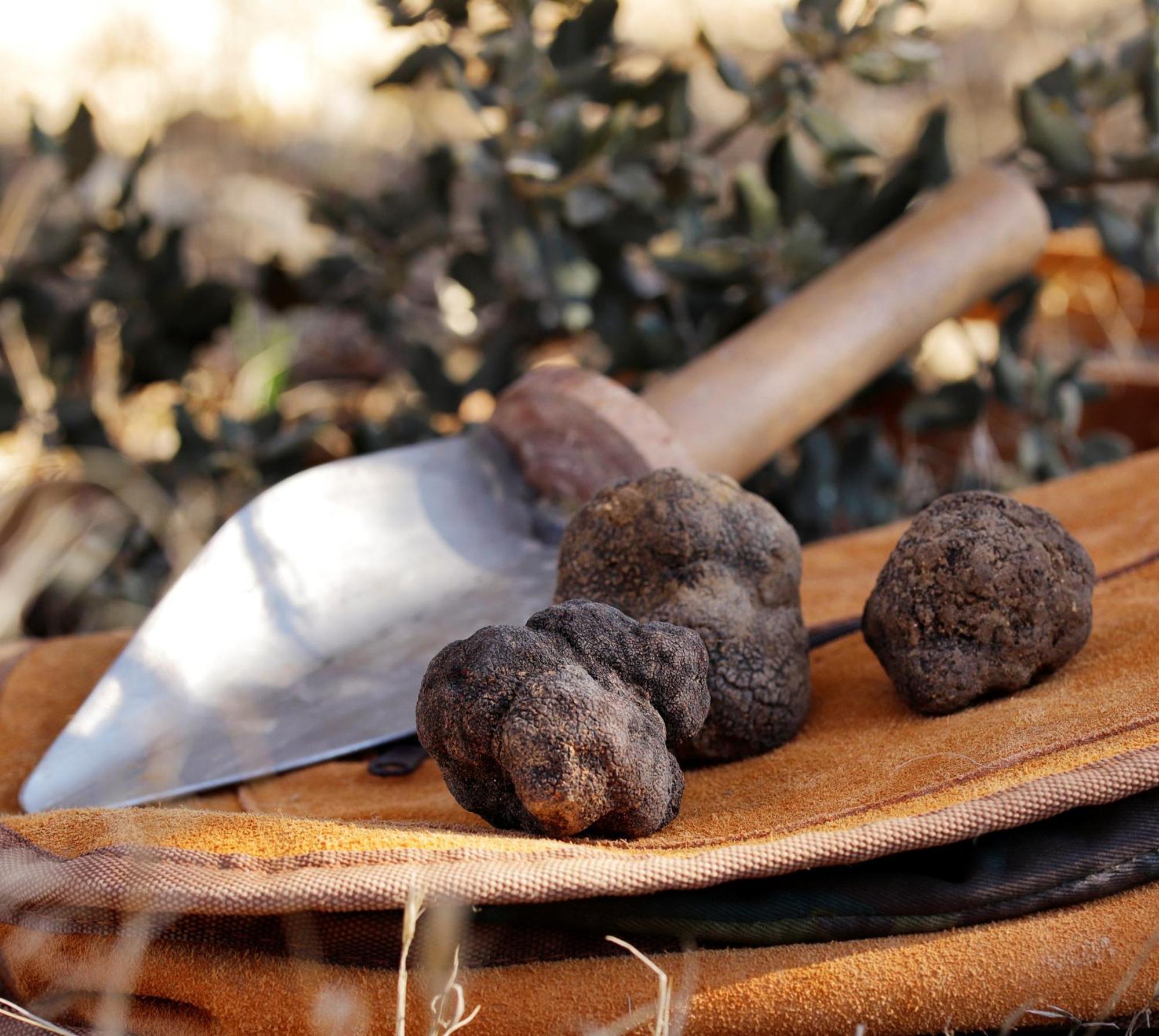 Aromas Del Jiloca, Tierra De Trufas Leilighet Calamocha Eksteriør bilde